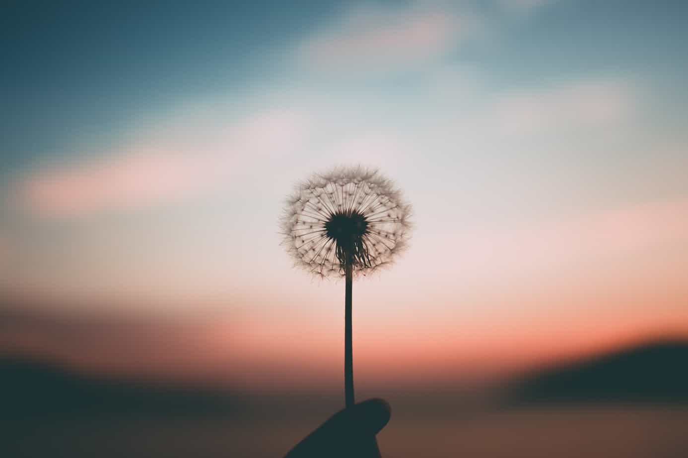 Mindfulness and Money – Making Your Finances Flourish